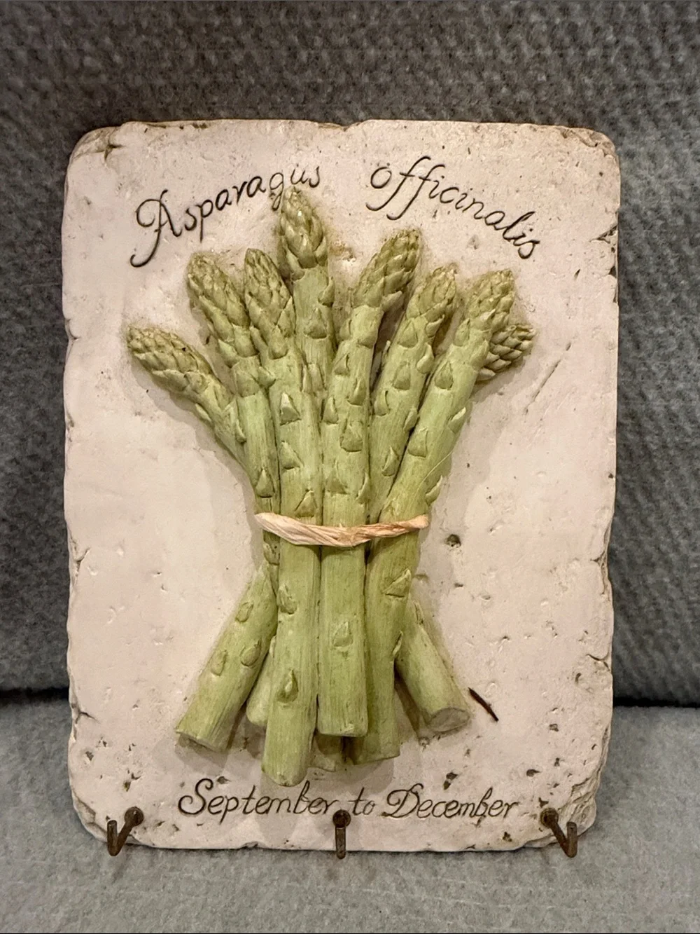 Botanical Asparagus Wall Hook Plaque in Light Green — Decorative Kitchen Hook